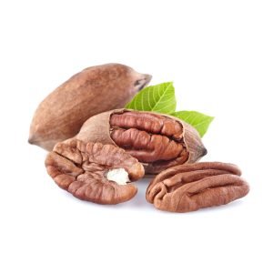 Wild Pecan Nuts