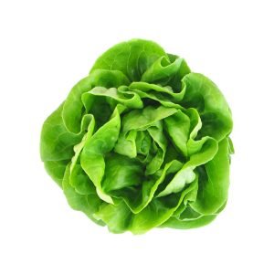 Fresh Vegetable